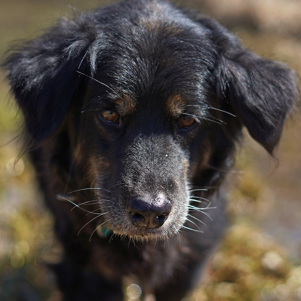 Meet your Posher, Ruthanne